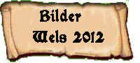 Banner_Bilder_Wels_2012.jpg (23629 Byte)